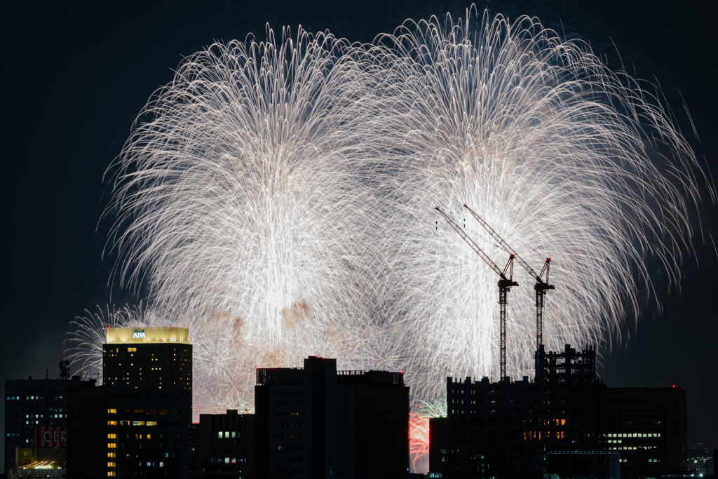 みなとみらいスマートフェスティバル2024 (写真展 夏の思い出)