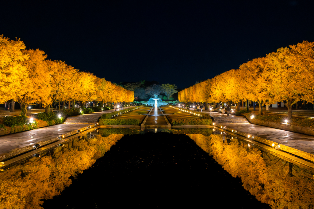 昭和記念公園 カナール