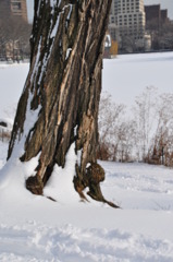 それでもぼくは