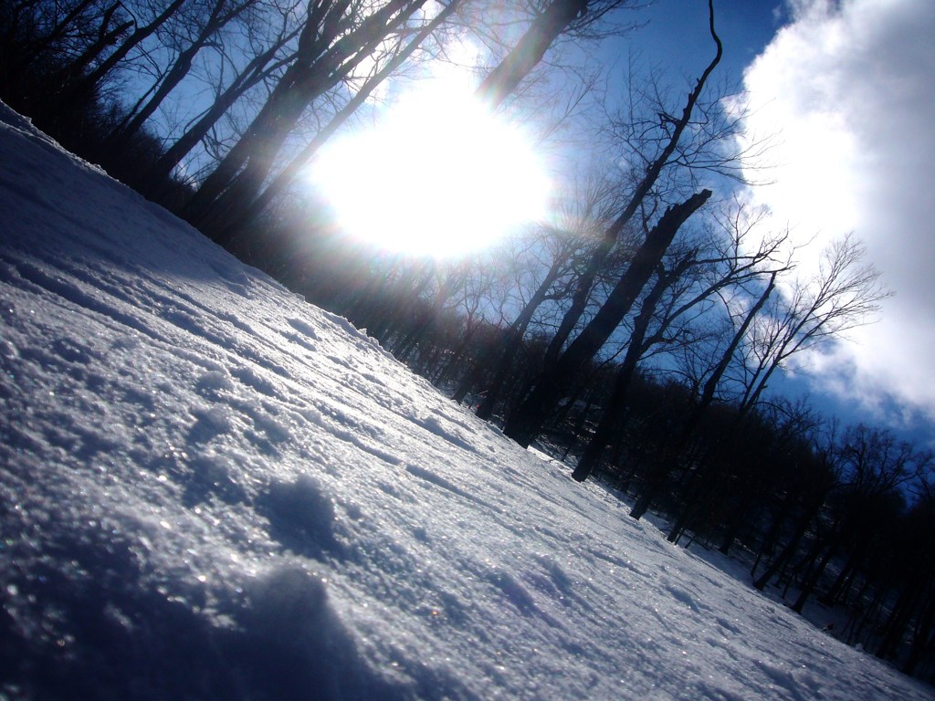 Blue-Snow