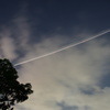 戻らない、夏。