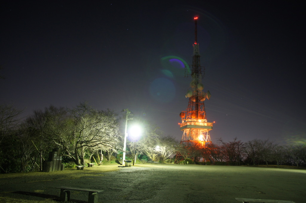 なんだかちょっと別の惑星