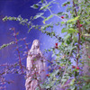 Blessed Virgin Mary