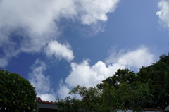 空＠沖縄