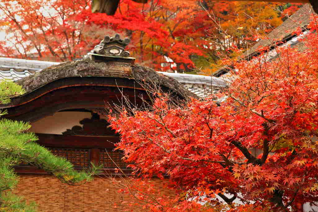 石山寺①