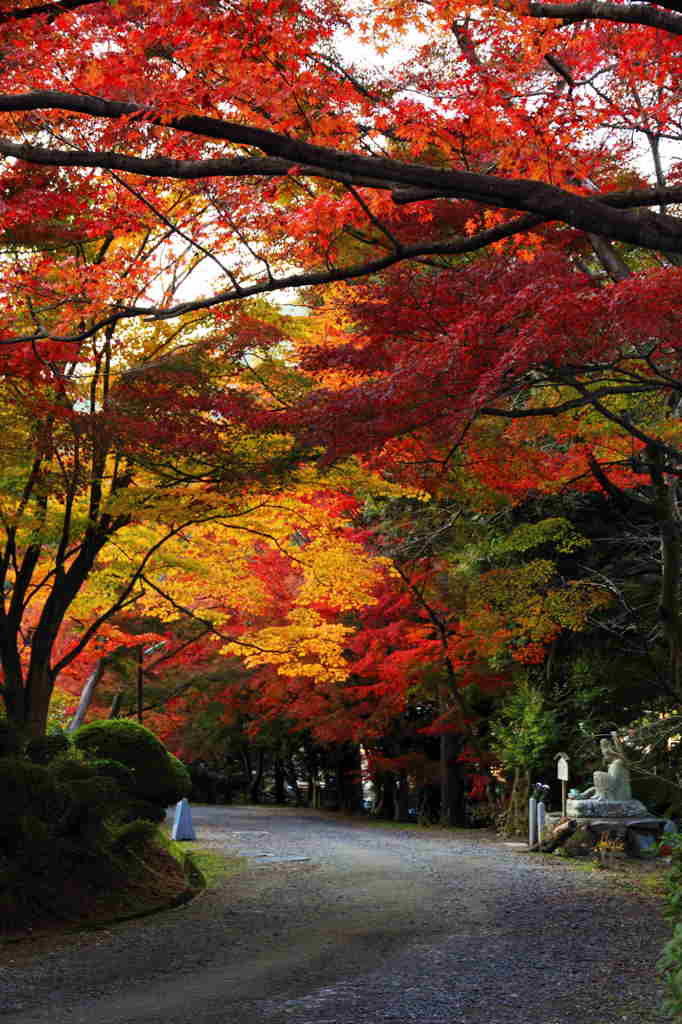 三井寺より