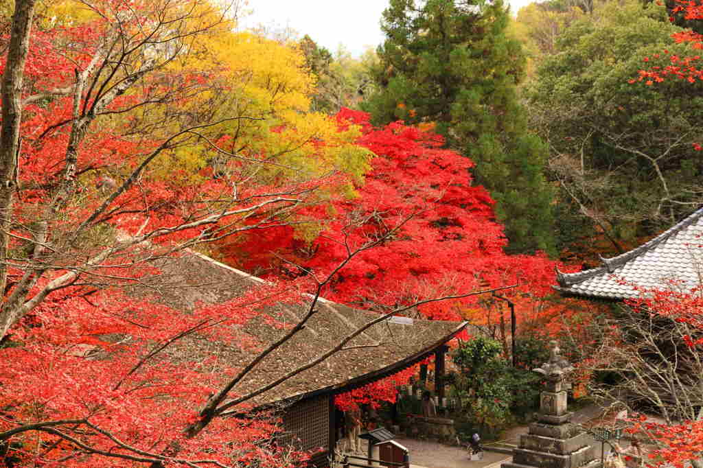 石山寺②