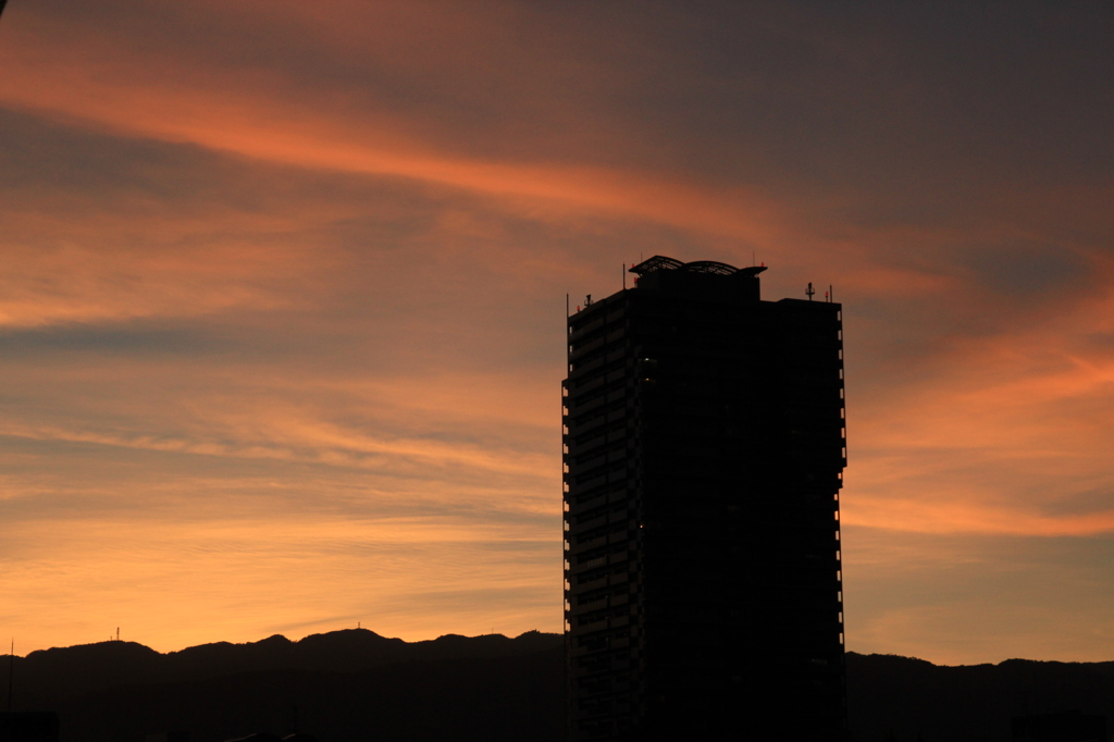 夕陽