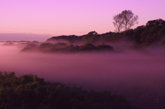 静寂の朝