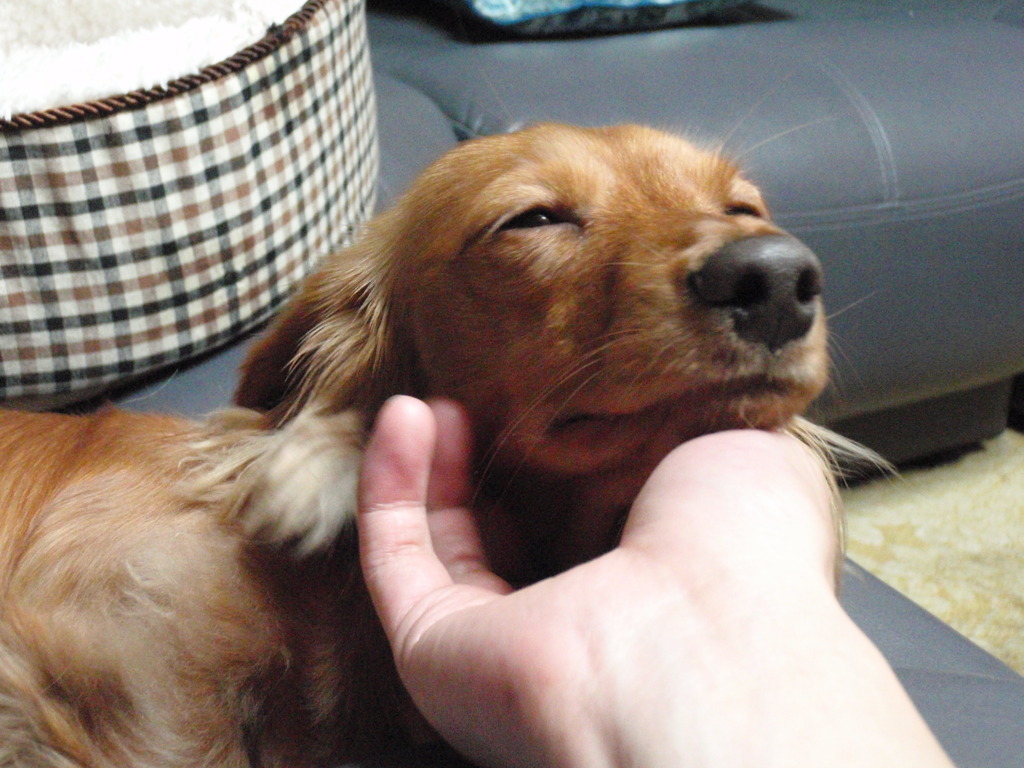 ごくらく