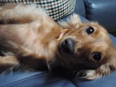 モモちゃ～ん♪