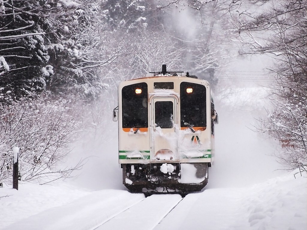 吹雪の森をぬけて