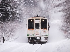 吹雪の森をぬけて