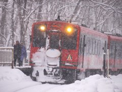赤べコ号