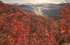 会津の紅葉