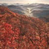 会津の紅葉