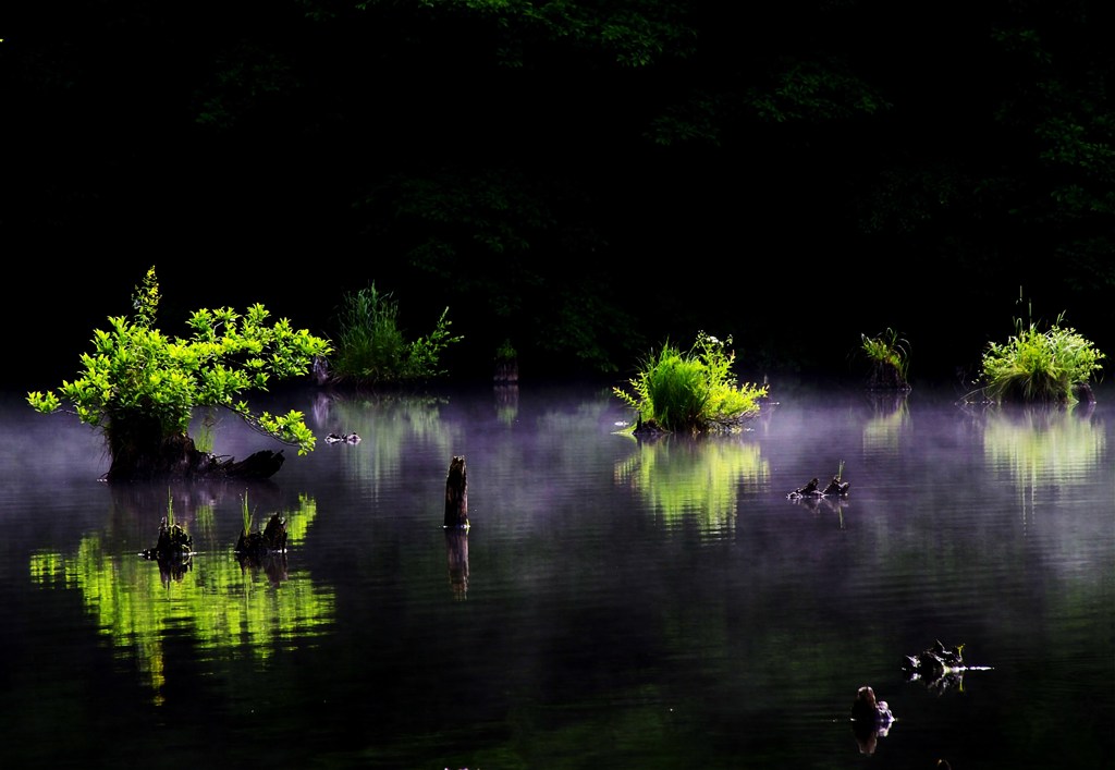 朝.水風景