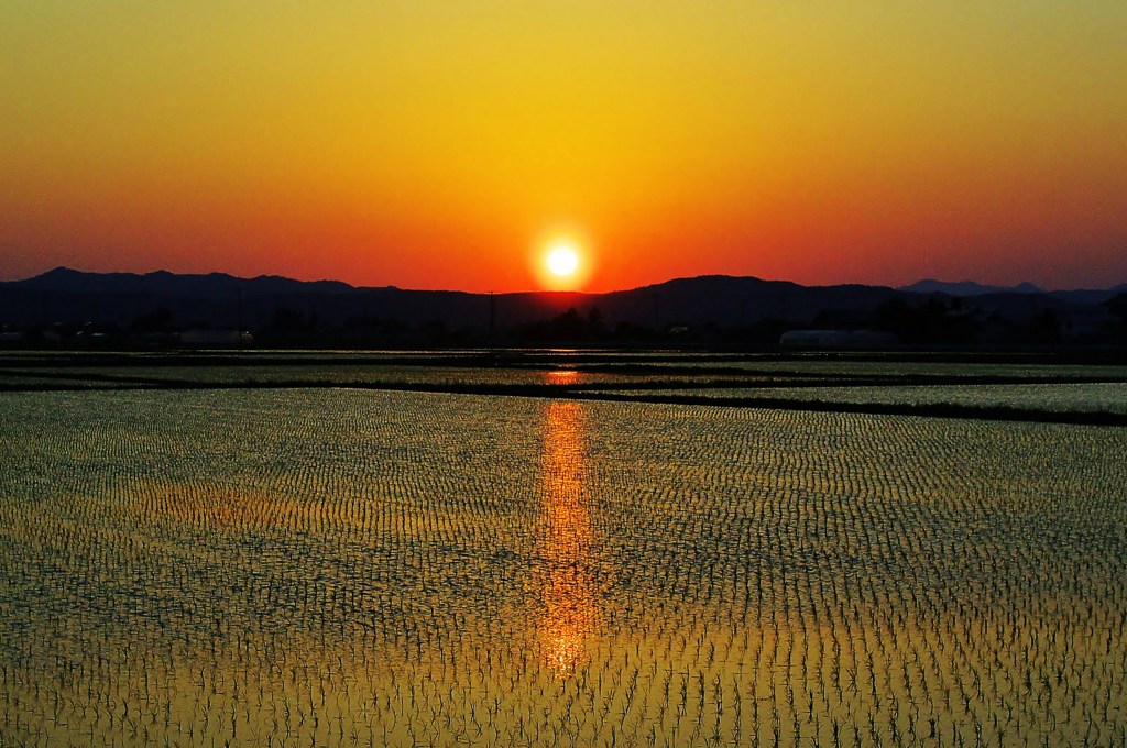 仕事帰りの夕景