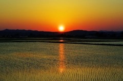 仕事帰りの夕景