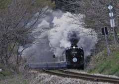初.蒸気機関車.D51