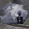 初.蒸気機関車.D51