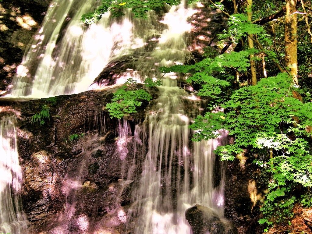 水音涼しく