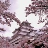 2011.桜