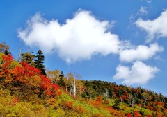 磐梯吾妻スカイラインの紅葉(2)