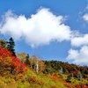 磐梯吾妻スカイラインの紅葉(2)