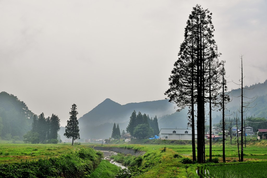 田舎の朝景