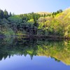 新緑の沼