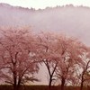 霧につつまれて