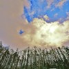 雲の裏