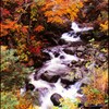喜多方大峠の紅葉