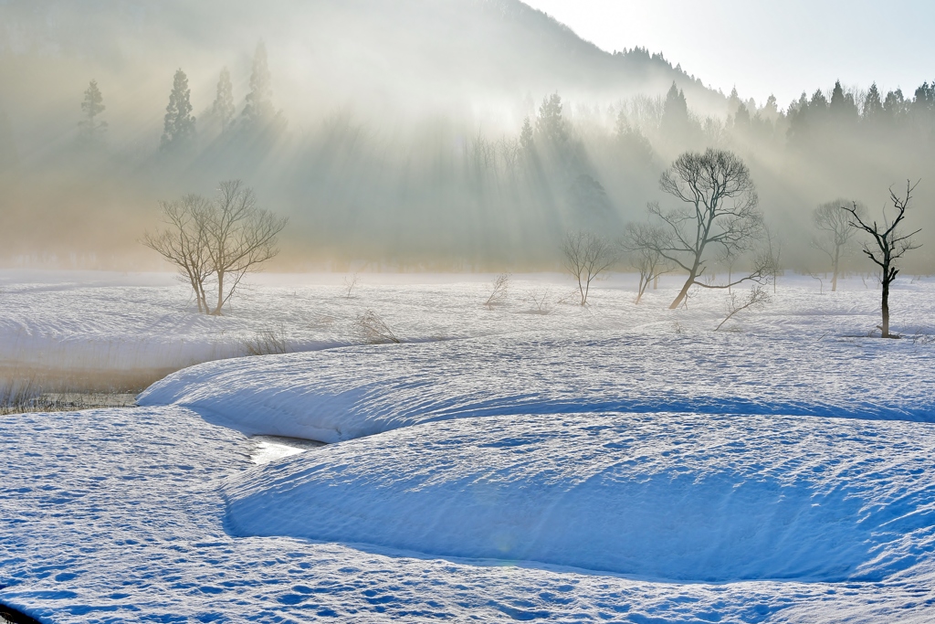 雪解けの春