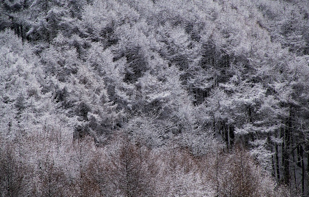 山嵐