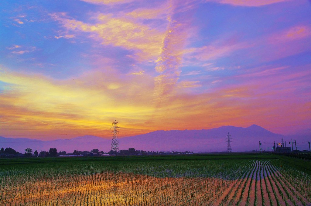 清々しい朝風景 by おさる （ID：1234925） - 写真共有サイト:PHOTOHITO