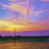 清々しい朝風景