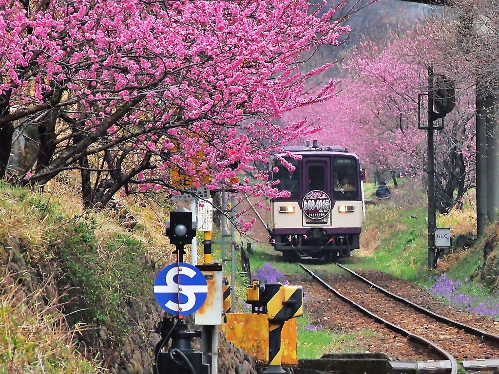 素晴らしいわたらせ渓谷鐡道