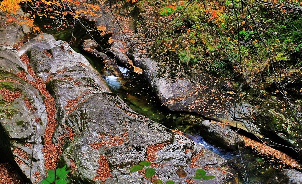 水風景