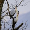 ラブラブ