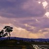 一本松と夕日