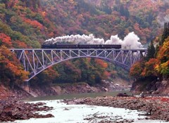紅葉の中を