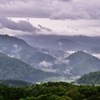 梅雨色