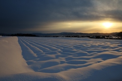 雪国夕景