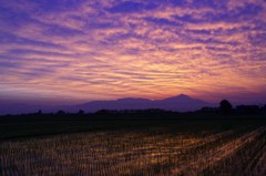 美里町の夜明け