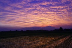 美里町の夜明け