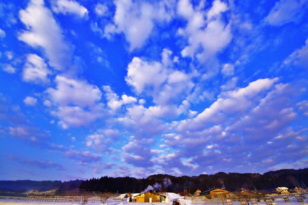 早朝出会えた風景