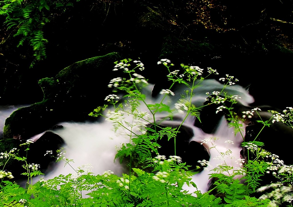 一休みの水風景