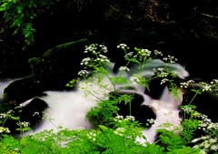 一休みの水風景